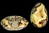 Polished Septarian Egg with Stand - Madagascar #118145-3